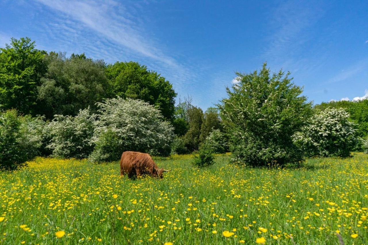 Europarcs Het Amsterdamse Bos Hotel Amstelveen Ngoại thất bức ảnh
